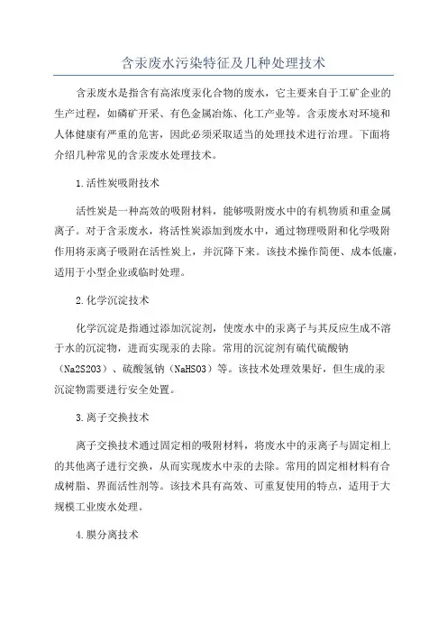 含汞废水污染特征及几种处理技术