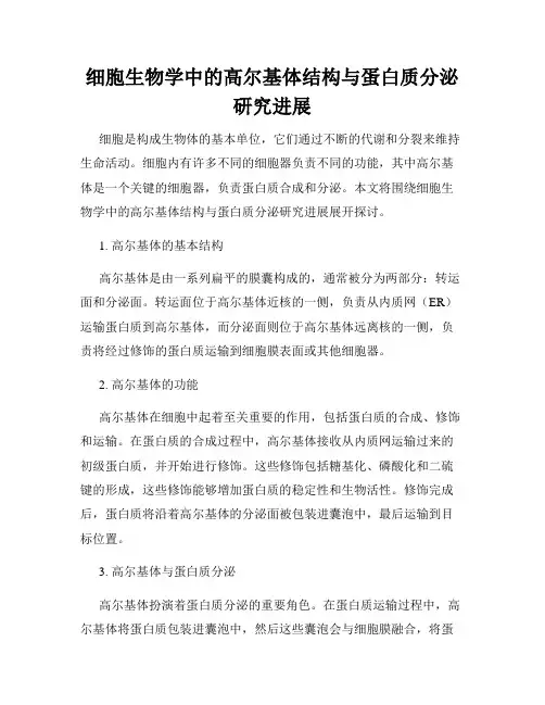 细胞生物学中的高尔基体结构与蛋白质分泌研究进展