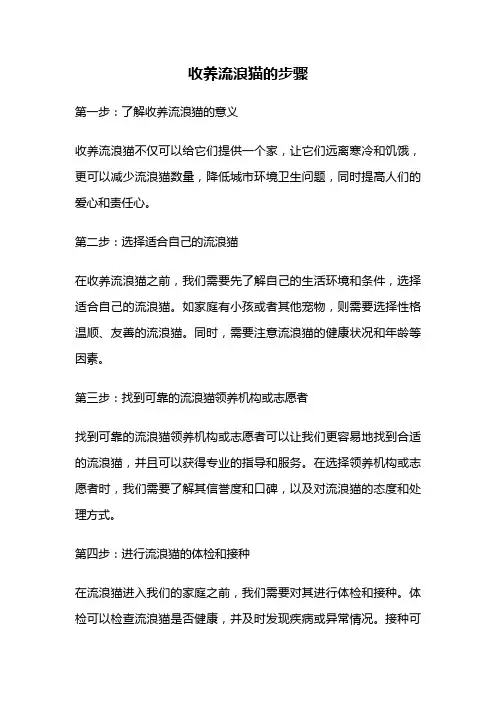 收养流浪猫的步骤