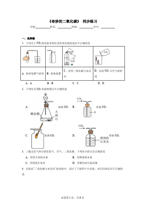 第5章奇妙的二氧化碳同步练习---2024-2025学年九年级化学沪教版(2024)上册