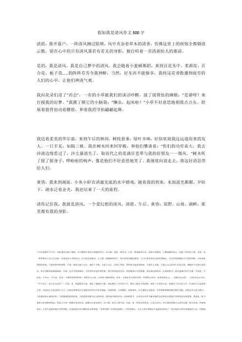 假如我是清风作文500字最新版