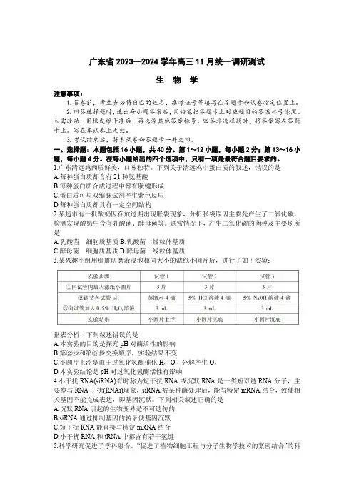 广东省2023-2024学年高三上学期11月统一调研考试生物试卷及答案