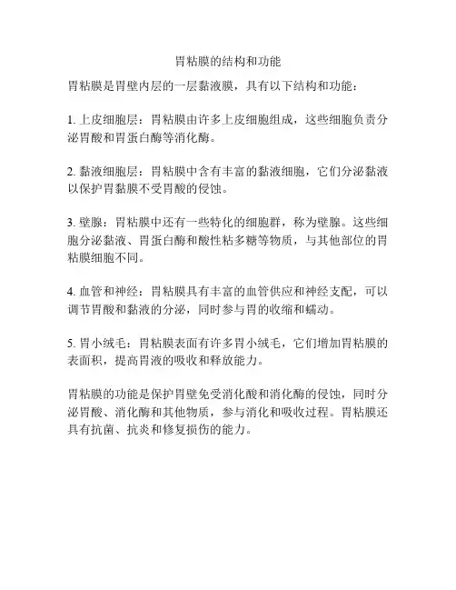 胃粘膜的结构和功能