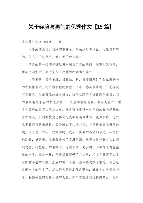 关于经验与勇气的优秀作文【15篇】