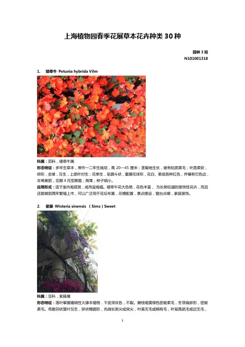上海植物园
