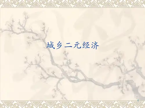 城乡二元结构PPT演示课件