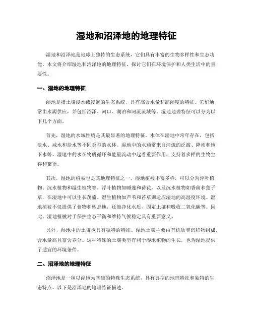 湿地和沼泽地的地理特征
