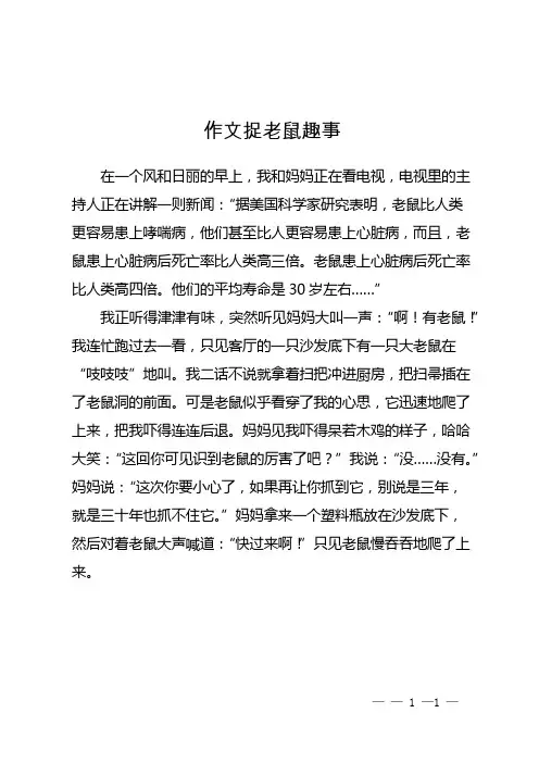 作文捉老鼠趣事