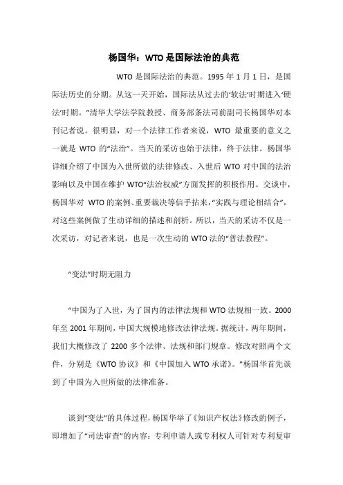 杨国华：WTO是国际法治的典范