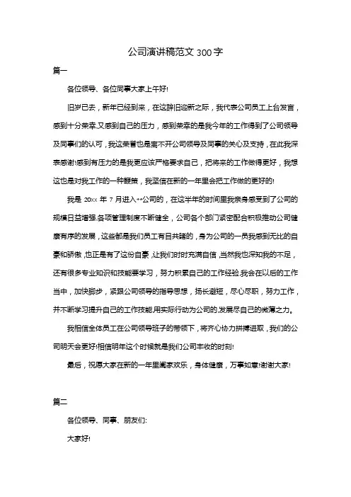 公司演讲稿范文300字