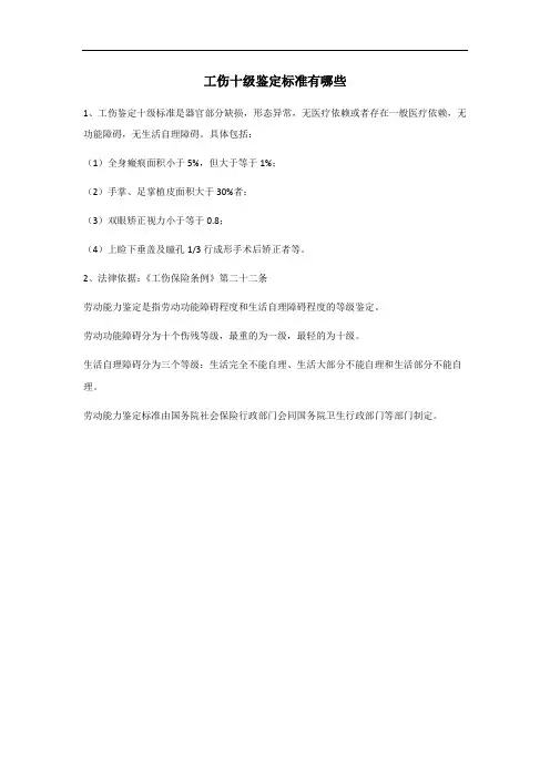 工伤十级伤残认定标准