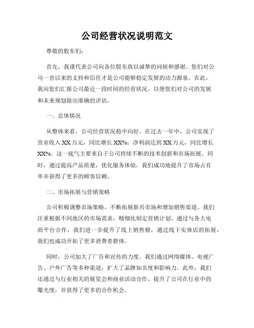 公司经营状况说明范文