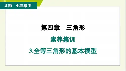 2024年北师大版七年级下册数学第四章三角形专项复习3 全等三角形的基本模型