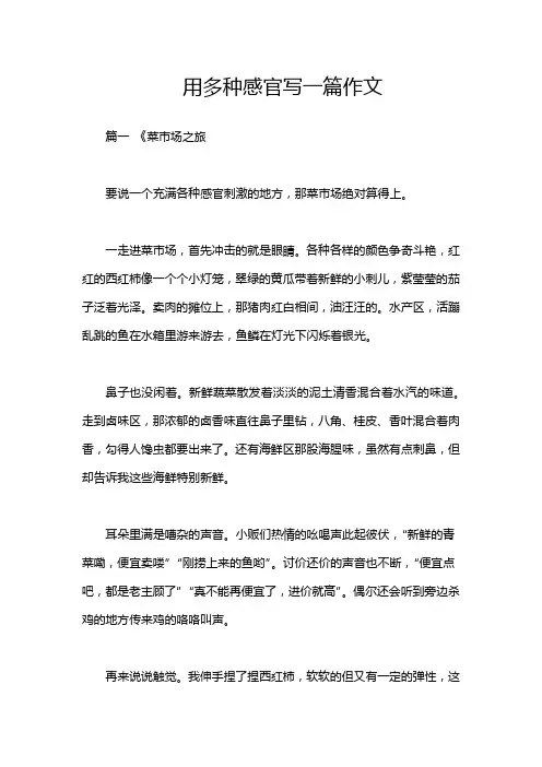 用多种感官写一篇作文