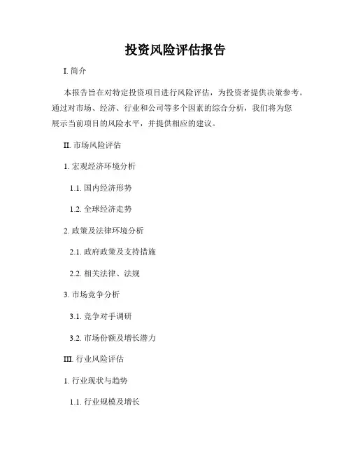投资风险评估报告