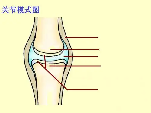 人教初中生物八年级上册第五单元第二章第二节 先天性行为和学习行为(共22张ppt)