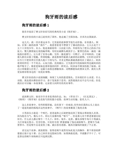 狗牙雨的读后感