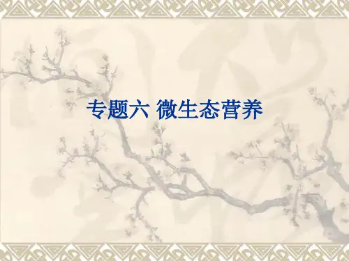 微生态营养