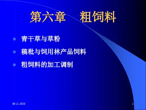 第六章 粗饲料PPT课件