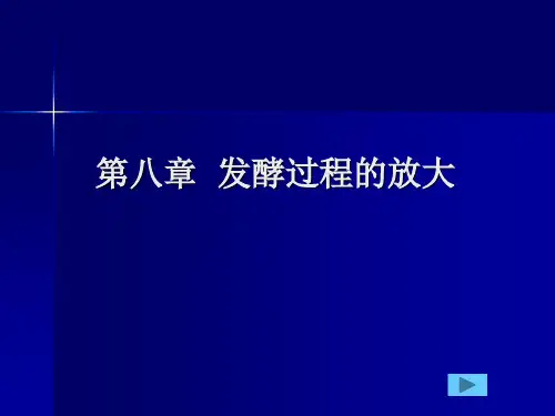 8第八章  发酵过程的放大