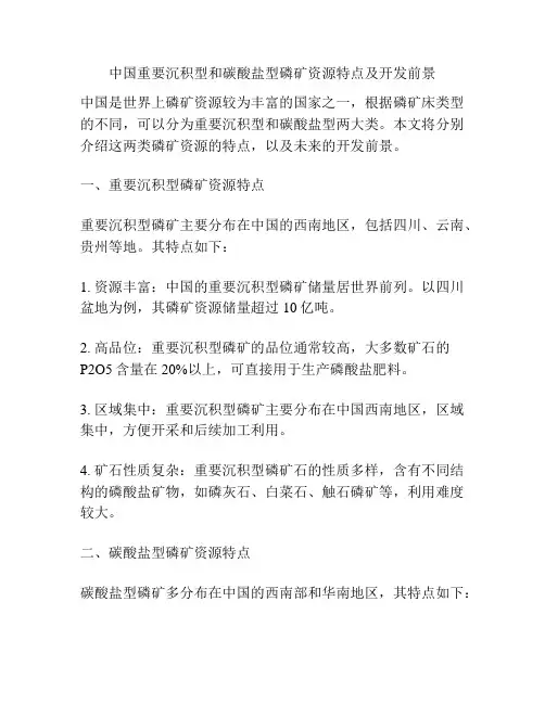 中国重要沉积型和碳酸盐型磷矿资源特点及开发前景