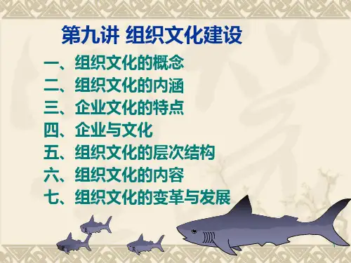 第九讲-组织文化建设PPT课件