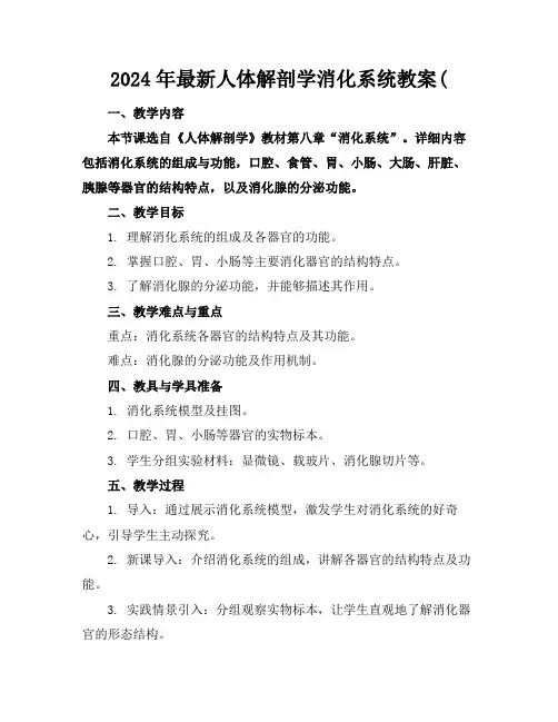2024年最新人体解剖学消化系统教案(