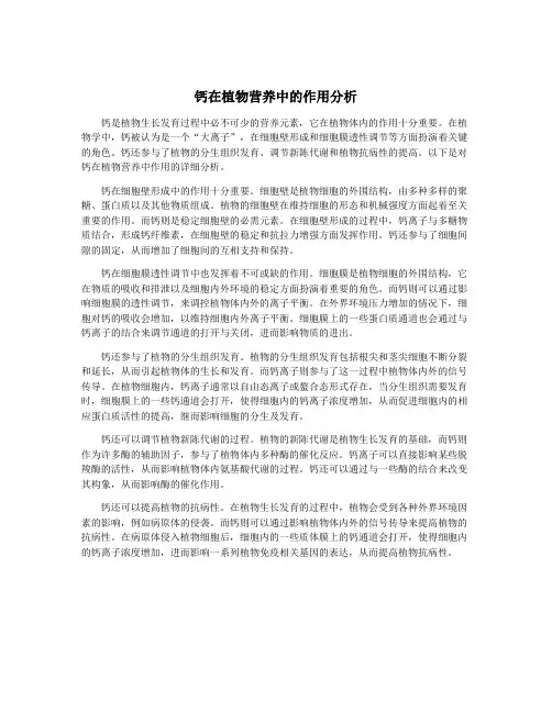 钙在植物营养中的作用分析