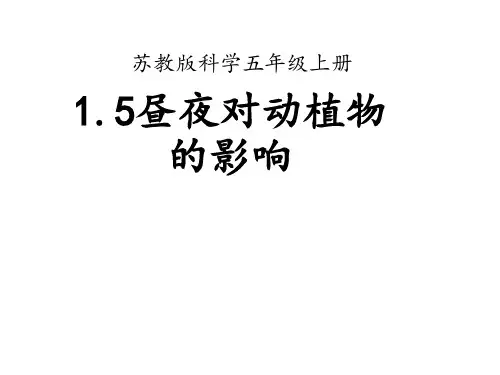 科学苏教版五年级上册 5.昼夜对动植物的影响课件