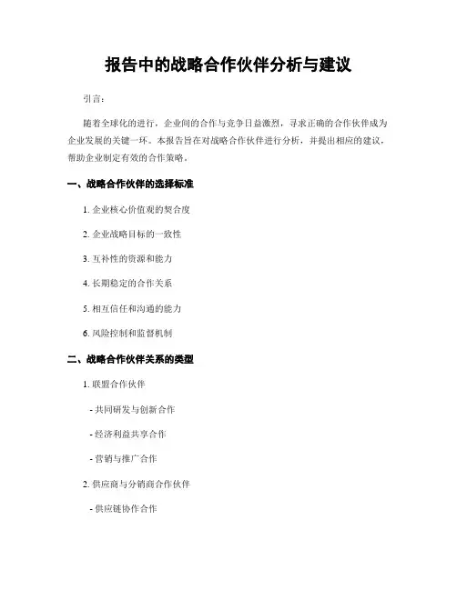 报告中的战略合作伙伴分析与建议