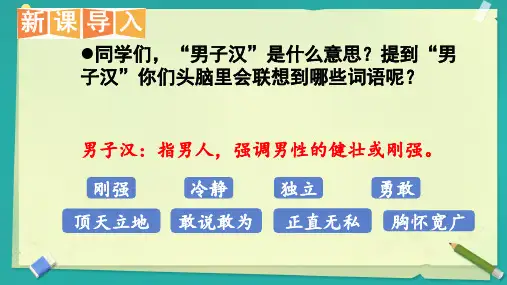 部编版语文四年级下册20《我们家的男子汉》课件(共29张PPT)