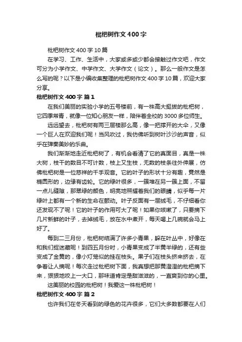 枇杷树作文400字10篇
