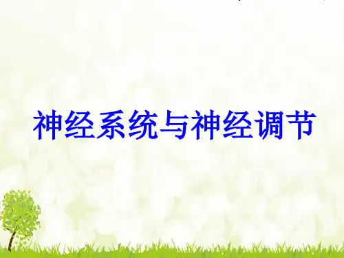 《神经系统与神经调节》-完整版PPT课件