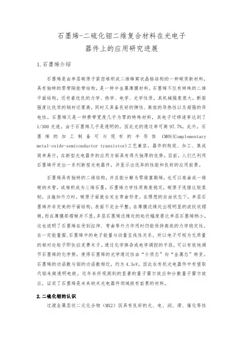 1_二硫化钼纳米结构