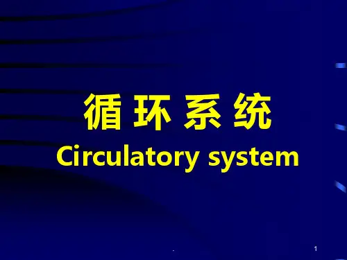 组织学与胚胎学循环系统ppt课件