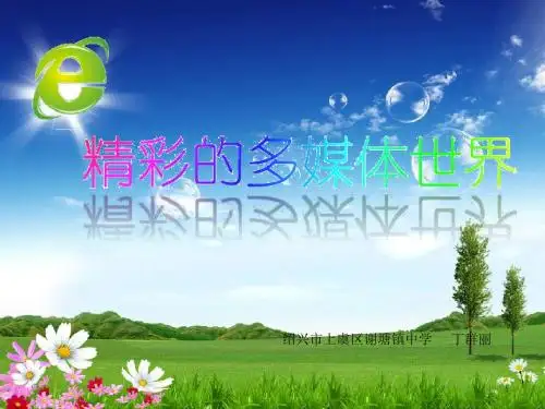 浙教课标版《信息技术七年级下册ppt课件：第十三课 图文并茂更清晰(丁老师)