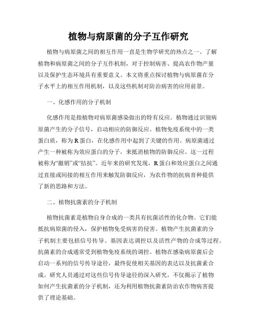 植物与病原菌的分子互作研究