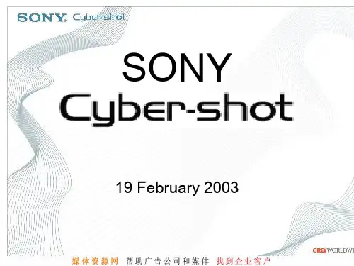 索尼数码市场推广方案英文版