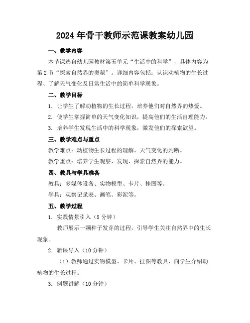 2024年骨干教师示范课教案幼儿园
