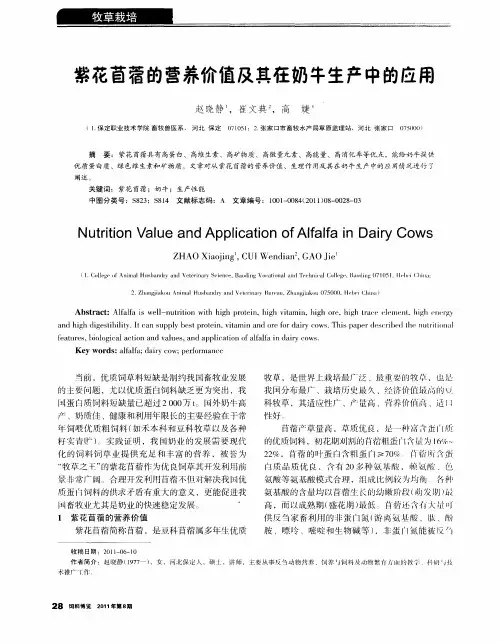 紫花苜蓿的营养价值及其在奶牛生产中的应用