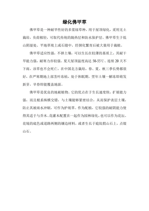 绿化佛甲草