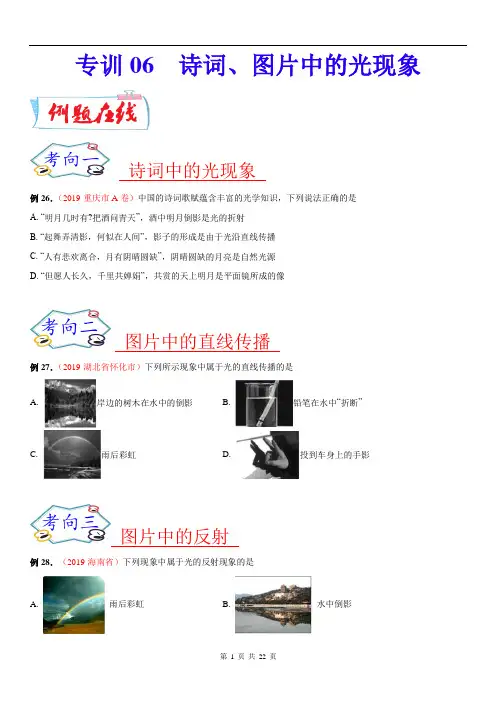 必刷06  诗词、图片中的光现象-备战中考物理必刷选择题200例  (原卷版)