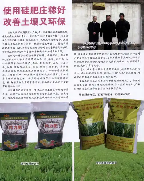 使用硅肥庄稼好 改善土壤又环保