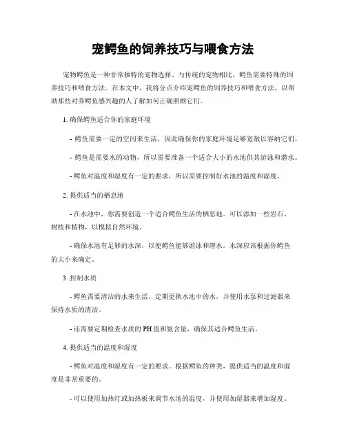宠鳄鱼的饲养技巧与喂食方法