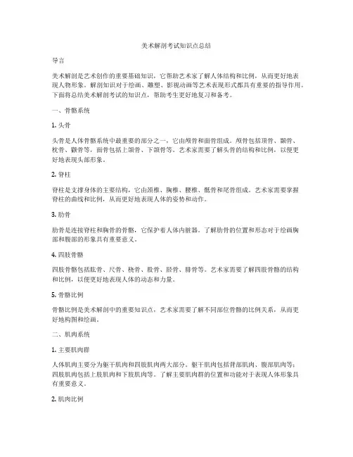 美术解剖考试知识点总结