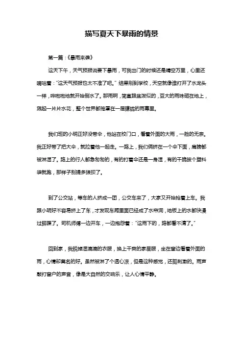 描写夏天下暴雨的情景