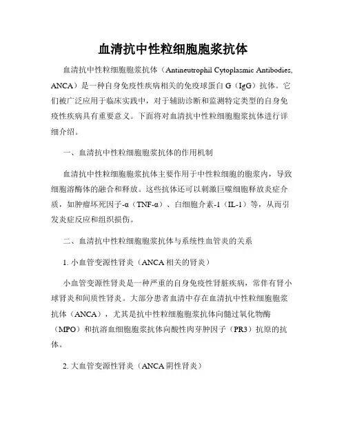 血清抗中性粒细胞胞浆抗体