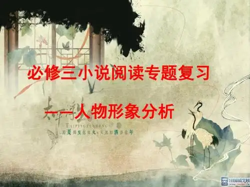 2017小说人物赏析