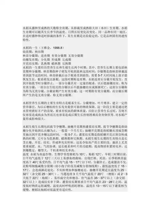 水稻的特点