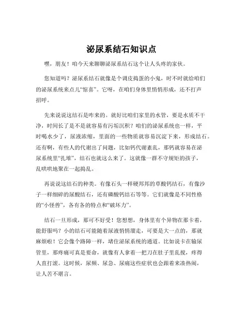 泌尿系结石知识点